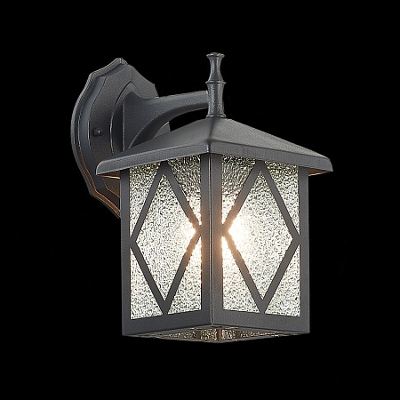 Светильник уличный настенный ST-Luce Черный/Черный, Прозрачный E27 1*60W SL084.411.01 - фото