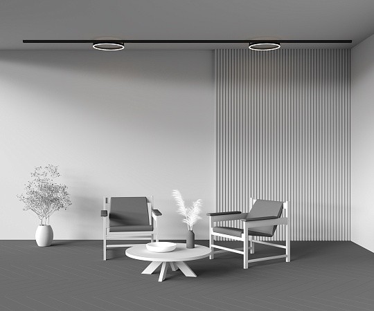 Трековый светильник Technical TR227-2-24W3K-B - фото