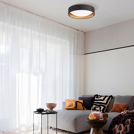 Светильник потолочный Белый, Золотистый/Белый LED 1*24W 4000K SLE201122-01 - фото