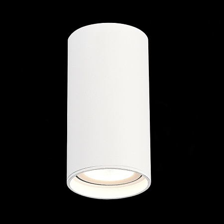 Светильник потолочный Белый LED 1*15W 4000K 1 200Lm Ra>90 60° IP44 D75xH140 220-265V ST157.542.15 - фото