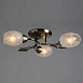 Потолочная люстра Arte Lamp ANETTA A6157PL-3AB - фото