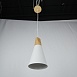 Подвесной Светильник Xd-A White Imperiumloft 178204-26 - фото