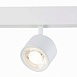 Магнитный трековый светильник белый LED 1*6W 4000K 560Lm Ra>80 36° IP20 L120xW81xH138 4 ST353.546.06 - фото