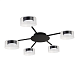 Потолочная люстра Arte Lamp ALIUS A8042PL-5BK - фото