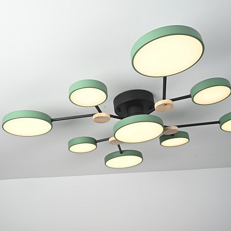 Потолочная Люстра Gamma D98 Green Imperiumloft 223772-23 - фото