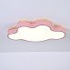 Потолочный Светильник Cloud Eco D63 Pink Imperiumloft 189507-26 - фото