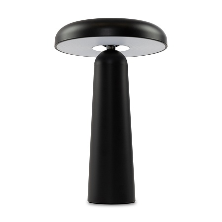 Аккумуляторный светильник Freya FR6109TL-L4B - фото