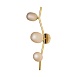 10212W Gold Настенный светильник LOFT IT Sakura - фото