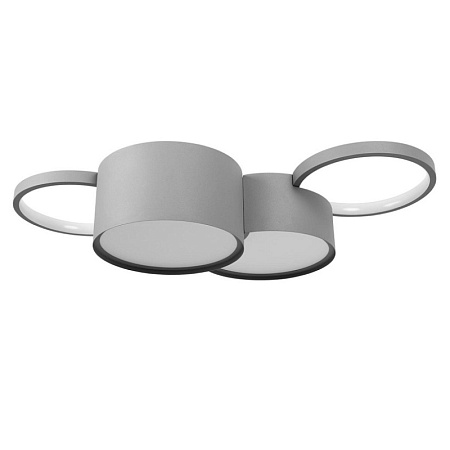 10317/4 Grey Потолочный светильник LOFT IT Pin - фото