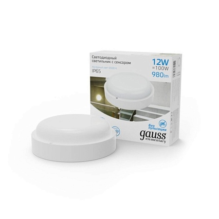 Светильник GAUSS 126411312-S_GAUSS - фото