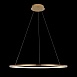 10014L Подвесной светильник LOFT IT Ring - фото