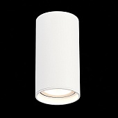 Светильник потолочный Белый LED 1*15W 3000K 1 200Lm Ra&gt;90 60° IP44 D75xH140 220-265V ST157.532.15