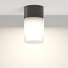 Потолочный светильник Outdoor Willis O418CL-01B - фото