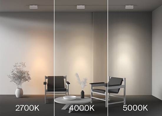 Трековый светильник Technical TR223-1-12WCCT-W-W - фото