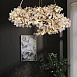 Подвесная Люстра Caramelly D D80 Imperiumloft 194936-23 - фото