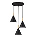 Светильник подвесной Черный/Черный E27 3*40W SLE1255-423-03 - фото