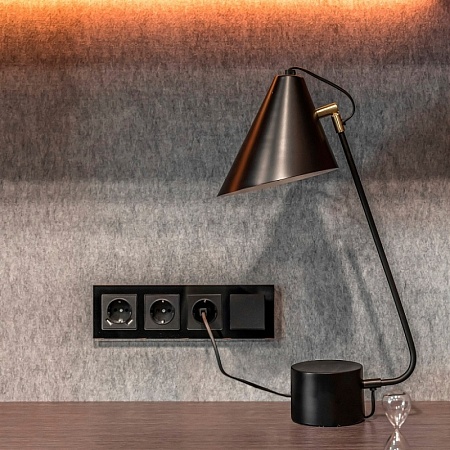 Розетка с заземлением, безвинтовой зажим черный матовый WL08-10-01 - фото