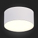 Светильник потолочный Белый LED 1*12W 3000K 1 080Lm Ra>85 120° IP20 D120xH55 185-265V ST606.532.12 - фото