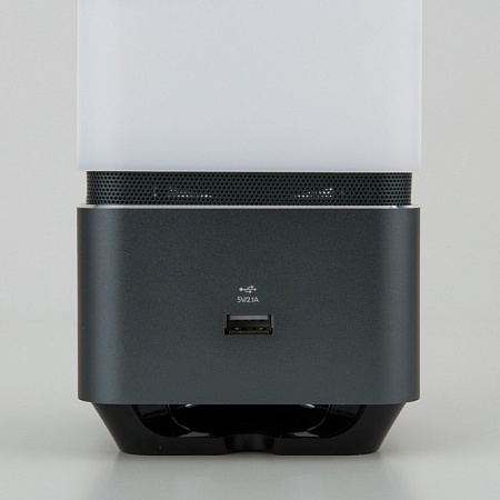 Smart-лампа с bluetooth-колонкой  серебристый Lussole Media 80418/1 - фото