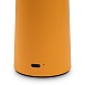 Аккумуляторный светильник Freya FR6109TL-L4OR - фото