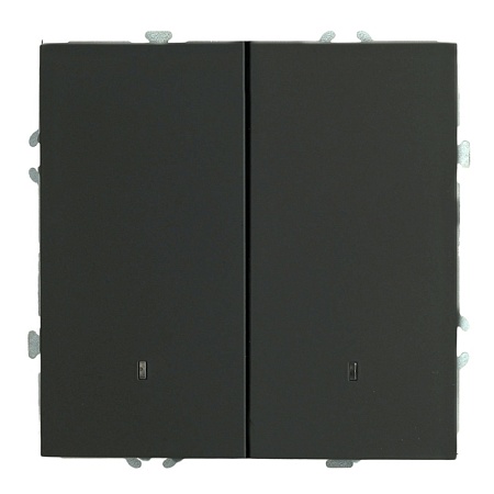 Выключатель 2-клавишный c индикатором (механизм), STEKKER, 250В, 10А, серия Эмили, RSW10-5102-05, черный уголь, soft touch - фото