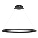 Светильник подвесной ST-Luce черный/черный LED 1*43W 4000K SL6238.443.01 - фото