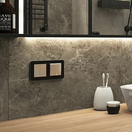 Рамка из металла на 2 поста Platinum черный W0022608 - фото