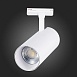 Св-к трек. Белый LED 1*30W 4000K 2 700Lm Ra≥90 36° IP20 L177xW77xH204 100-240V ST350.546.30.36 - фото