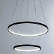 Подвесная люстра Arte Lamp FRODO A2197SP-2BK - фото