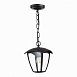Светильник уличный подвесной ST-Luce Черный/Черный, Прозрачный E27 1*40W SL081.403.01 - фото
