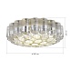 Светильник потолочный ST-Luce Никель/Никель, Прозрачный E14 19*60W SL1662.102.19 - фото