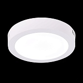 Светильник настенно-потолочный Белый LED 1*12W 3000K 715Lm Ra80 120° IP20 D160xH28 90-2 ST112.532.12