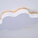 Потолочный Светильник Cloud Eco D63 White Imperiumloft 189501-26 - фото