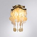 Настенный светильник Arte Lamp PIPIRIMA A4065AP-2SG - фото