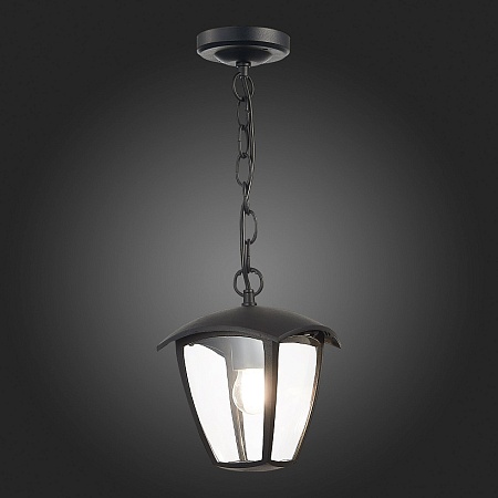 Светильник уличный подвесной ST-Luce Черный/Черный, Прозрачный E27 1*40W SL081.403.01 - фото