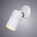 Уличный настенный светильник Arte Lamp MISTERO A3304AL-1WH - фото