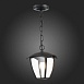Светильник уличный подвесной ST-Luce Черный/Черный, Прозрачный E27 1*40W SL081.403.01 - фото