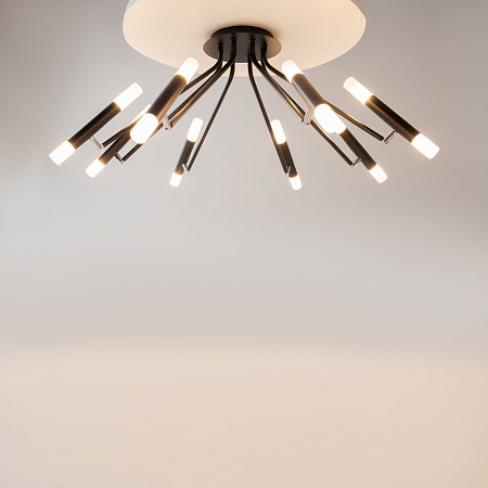 Потолочный светильник Maytoni Vigo MOD620CL-16B - фото