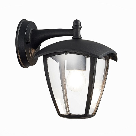 Светильник уличный настенный ST-Luce Черный/Черный, Прозрачный E27 1*40W SL081.411.01 - фото