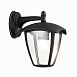 Светильник уличный настенный ST-Luce Черный/Черный, Прозрачный E27 1*40W SL081.411.01 - фото