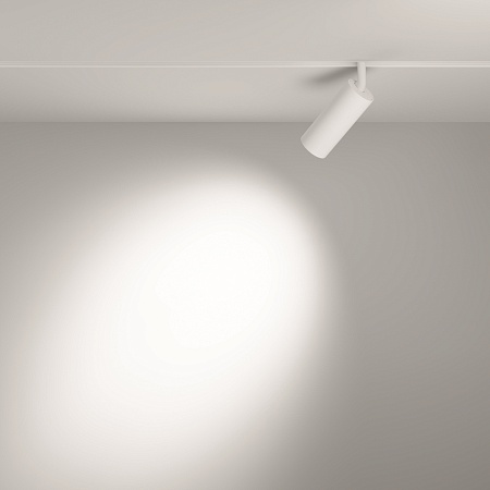 Трековый светильник Technical FOCUS LED TR032-2-12W3K-S-W - фото