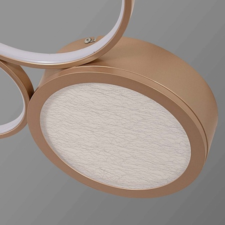 Потолочный светильник F-Promo 4681-3C - фото