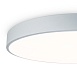 Потолочный светильник Freya FR6129CL-L80GR - фото