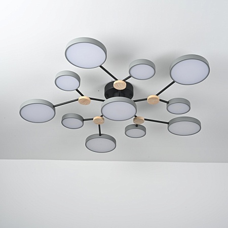 Потолочная Люстра Gamma D102 Grey Imperiumloft 223767-23 - фото