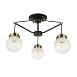 Светильник потолочный Черный, Бронза/Прозрачный, Белый E27 3*60W SLE110302-03 - фото