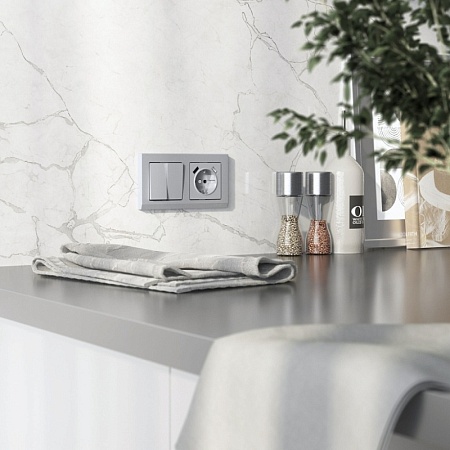 Выключатель двухклавишный (серебряный матовый) W1120065 - фото