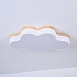 Потолочный Светильник Cloud Eco D50 White Imperiumloft 189500-26 - фото