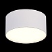Светильник потолочный Белый LED 1*12W 3000K 1 080Lm Ra>85 120° IP20 D120xH55 185-265V ST606.532.12 - фото