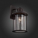 Светильник уличный настенный ST-Luce Темный кофе/Прозрачный, Темный кофе E27 1*60W SL080.401.01 - фото