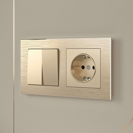 Выключатель двухклавишный проходной шампань W1122011 - фото